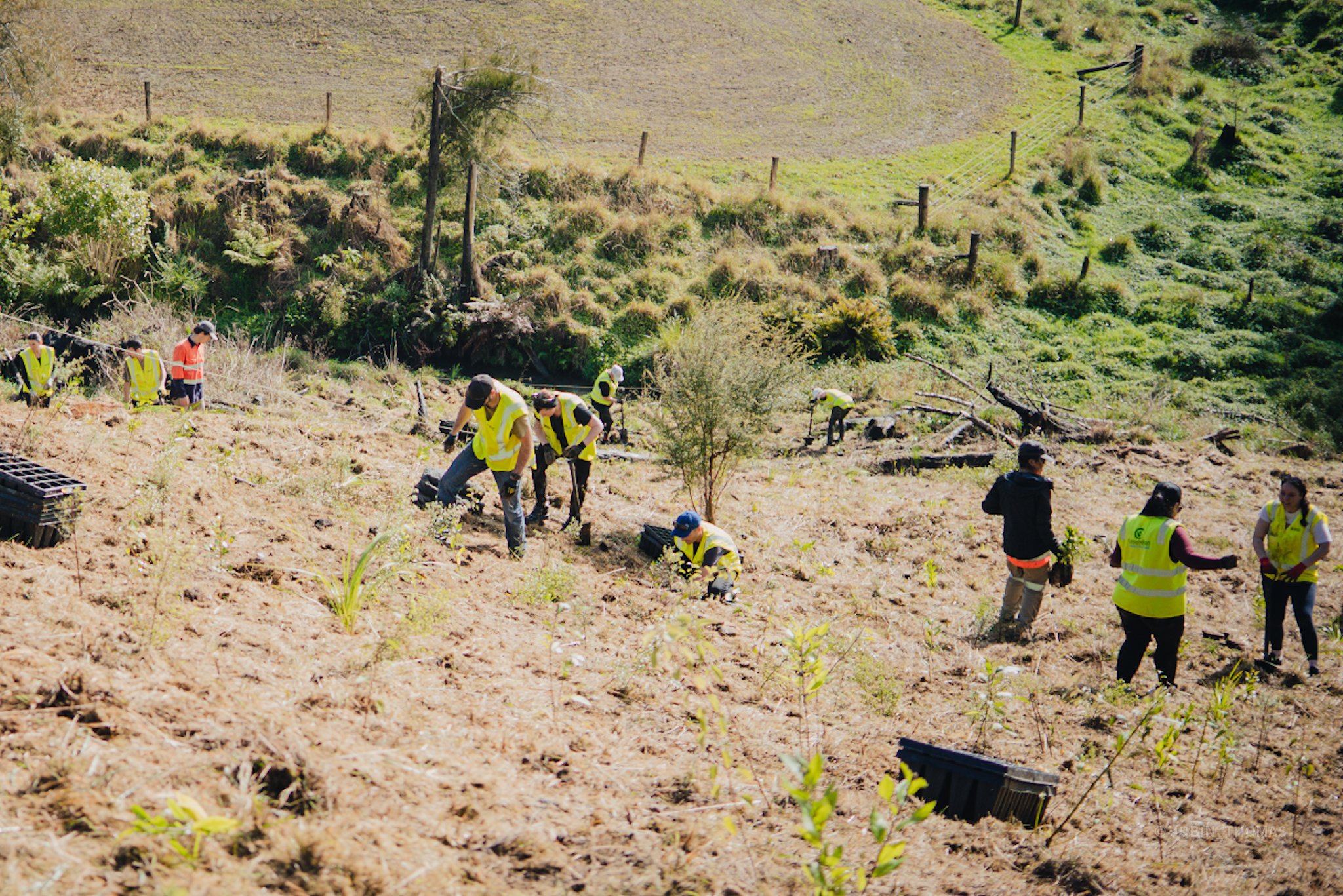 A group of volunteers in high-visibility vests planting young trees across a sloped rural hillside, with farmland and fencing in the background